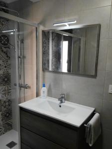 uma casa de banho com um lavatório e um chuveiro com um espelho. em Apartamento Centro y Playa em Gijón