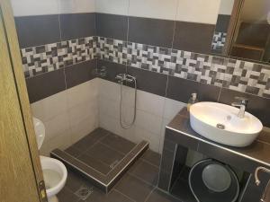 a bathroom with a sink and a shower and a toilet at Villa Giannis Apartments in Nea Vrasna