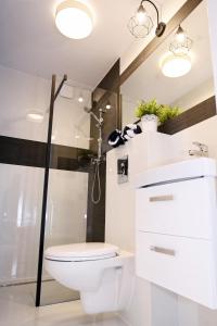 a bathroom with a toilet and a shower at Apartament Nadmorskie Wzgórze in Mechelinki