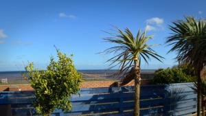 a view of the ocean from a fence with palm trees at The Den Studio Apartment - Withernsea in Withernsea