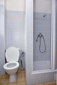 uma casa de banho com um WC e um chuveiro em Penzion u Blanice em Husinec