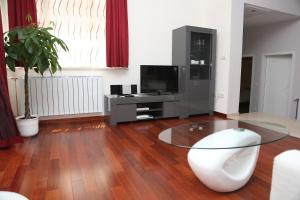 TV a/nebo společenská místnost v ubytování Apartment Markorcula