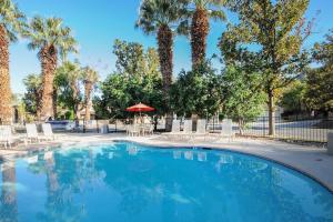 una piscina con sillas y palmeras en Casa de Oasis Permit# 549, en Palm Springs