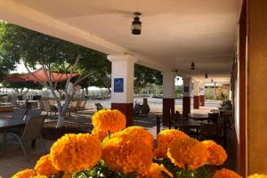 Foto dalla galleria di Hotel Las Palmas a San Felipe