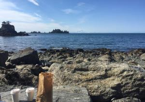 dos tazas de poliestireno sentadas en las rocas cerca del agua en Sea Parrot Inn, en Seldovia