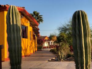 una strada con un cactus di fronte a un edificio giallo di Hotel Las Palmas a San Felipe