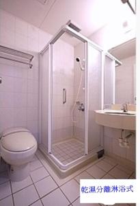 高雄的住宿－85假期會館，带淋浴、卫生间和盥洗盆的浴室