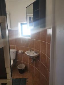 ein Badezimmer mit einem Waschbecken, einem WC und einem Spiegel in der Unterkunft Slakkepas 52 in Dwarskersbos