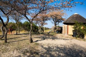 a building with a thatched roof next to trees at Hakusembe River Campsite in Rundu