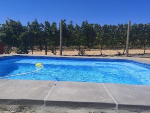 a swimming pool with a yellow frisbee in it at 401 Rozendal Cottages in Stellenbosch