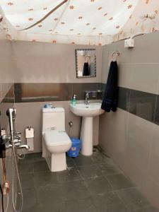 a bathroom with a toilet and a sink at Hill Ventures - Swiss Glamping with Adventure Activities in Dharamshala