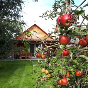an apple tree in front of a house at Lodges near the Rhine - Sustainable Residence in Hazerswoude-Rijndijk