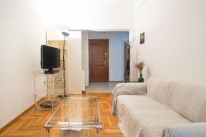 TV a/nebo společenská místnost v ubytování Flat in central Athens - Pangrati