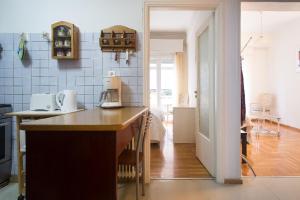 Kuchyň nebo kuchyňský kout v ubytování Flat in central Athens - Pangrati