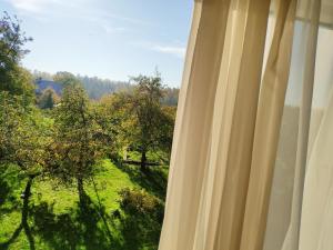 a window with a view of a field of trees at Dana Guest House in Roja