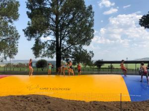 
people are playing a game of frisbee at a park at Grey Goose Game Lodge in Newcastle
