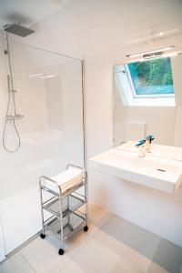 a bathroom with a sink and a shower at Les Sources du Val in Saint-Pierre-du-Val
