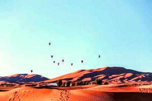 a group of kites flying in the desert at Sultan Luxury Camp in Merzouga