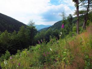 Paesaggio naturale nelle vicinanze del lodge