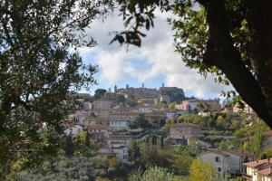 a town with a castle on top of a hill at Villa Fè -Choose Panoramic View, Jacuzzi, Private Parking in Montepulciano