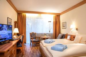TV a/nebo společenská místnost v ubytování Hotel Quellenhof
