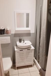 ein Badezimmer mit einem Waschbecken, einem WC und einem Spiegel in der Unterkunft A Mi Chemin in Obernai