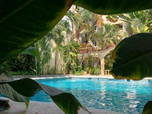 Swimmingpoolen hos eller tæt på Hotel Sol del Pacifico