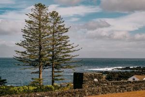 duas árvores ao lado de uma parede de pedra e do oceano em Azores Youth Hostels - Pico em São Roque do Pico