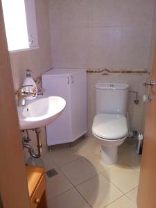 a bathroom with a white toilet and a sink at Apartman Ćeran in Herceg-Novi +25 photos