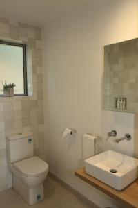 a bathroom with a toilet and a sink at Seascape Accommodation in Kaka Point