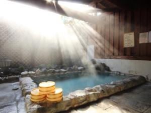 einen Wasserpool mit einem Brunnen in einem Gebäude in der Unterkunft Hotel Grace Hakuba in Hakuba