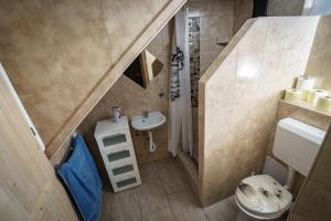 Koupelna v ubytování Robitel Wellness Vendégház Veszprém-Gyulafirátót