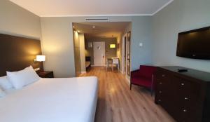 ein Hotelzimmer mit einem Bett und einem Flachbildfernseher in der Unterkunft HG La Molina in La Molina