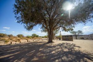KarasburgにあるCanyon Roadhouse Campsiteの砂漠の木