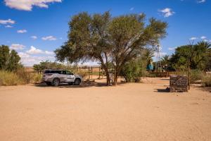 KarasburgにあるCanyon Roadhouse Campsiteの砂漠の木の下に置かれた白いトラック +10枚の写真
