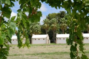 a row of buildings with palm trees in the background at Kalahari Farmhouse Campsite in Stampriet