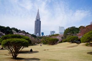 สถานที่สำคัญในท้องถิ่นซึ่งอยู่ใกล้เกสต์เฮาส์
