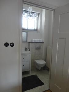 een badkamer met een toilet, een wastafel en een raam bij Gastsuite in Valkenburg aan de Geul in Valkenburg