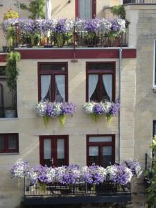een gebouw met paarse en witte bloemen in ramen bij Gastsuite in Valkenburg aan de Geul in Valkenburg