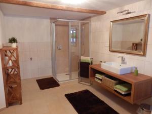 un bagno con doccia, lavandino e specchio di anno Tyrol a Biberwier