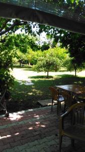 Gallery image of Armina Pension in Cıralı