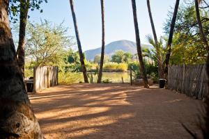 a dirt road with palm trees and a body of water at Omarunga Epupa-Falls Campsite in Epupa