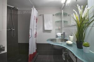 ein Bad mit einem Waschbecken und einer Dusche in der Unterkunft Comfortable apartment at the foot of the Odeon of Herodes Atticus in Athen