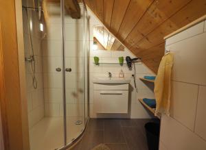 a bathroom with a shower and a sink at Haus Fiel in Dornbirn