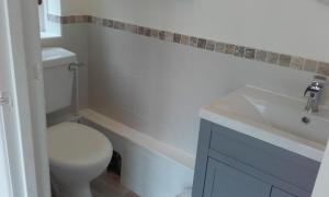 a bathroom with a white toilet and a sink at Yew Tree View in Marnhull