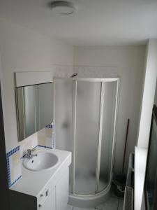a bathroom with a shower and a sink at Vakantie Aan Zee in De Panne