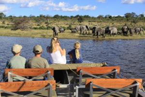 un grupo de personas en un barco en el agua con una manada de elefantes en Chobe River Campsite, en Ngoma