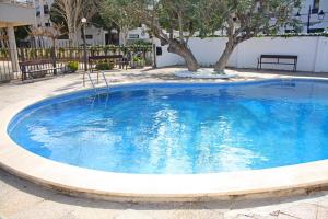 ein großer blauer Pool mit einem Baum darin in der Unterkunft Sol Daurat seafront apartment in Cambrils