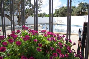 Vonkajšia záhrada v ubytovaní Sol Daurat seafront apartment