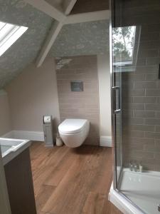 a bathroom with a toilet and a shower at Lydford House in Lydford